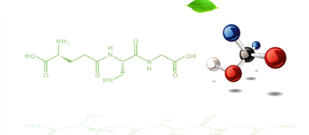 技術(shù)創(chuàng)新 技術(shù)創(chuàng)新