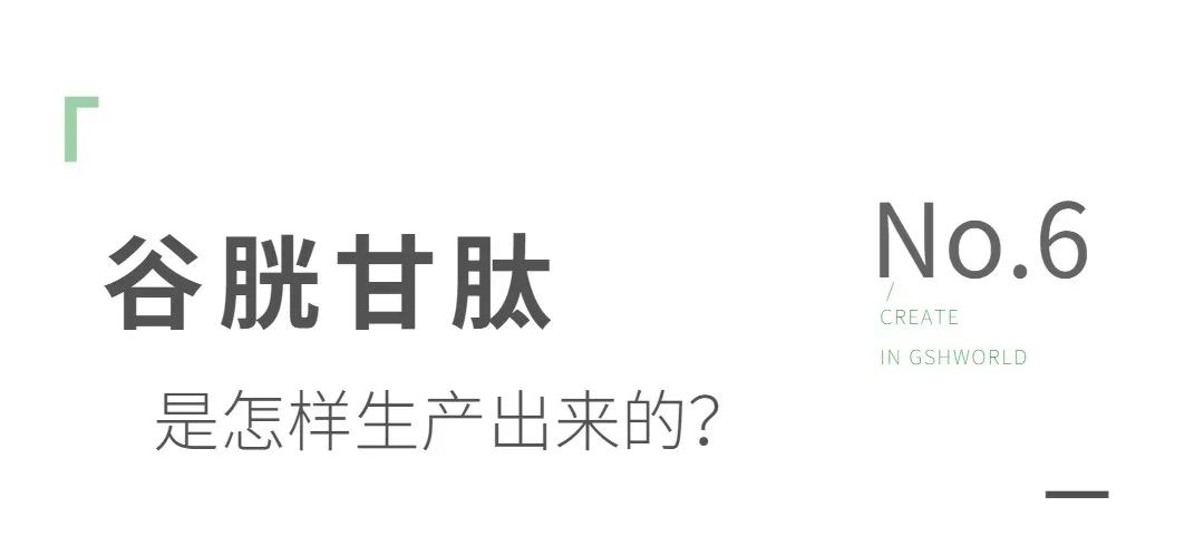 谷胱甘肽是如何生產(chǎn)的？