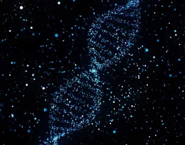 煙酰胺核糖氯化物有什么優勢？