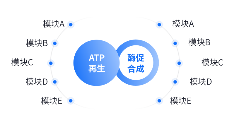酶法生產(chǎn)應(yīng)用領(lǐng)域 酶法生產(chǎn)應(yīng)用領(lǐng)域