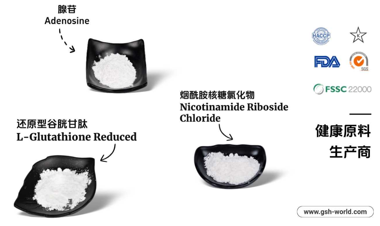 有哪些原料被廣泛應用？