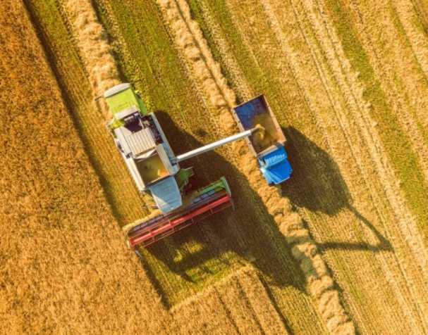谷胱甘肽在多種非生物脅迫中的作用