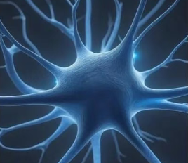 胞磷膽堿：神經膜的直接修復者