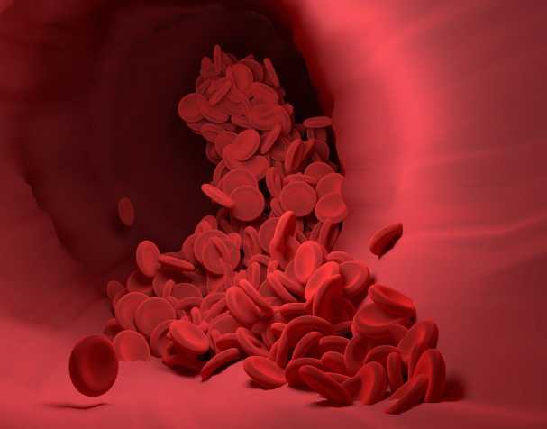 代謝吸收更具優勢