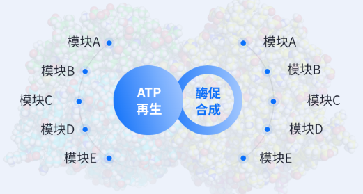 核心技術原理:突破酶促反應能量瓶頸 核心技術原理:突破酶促反應能量瓶頸
