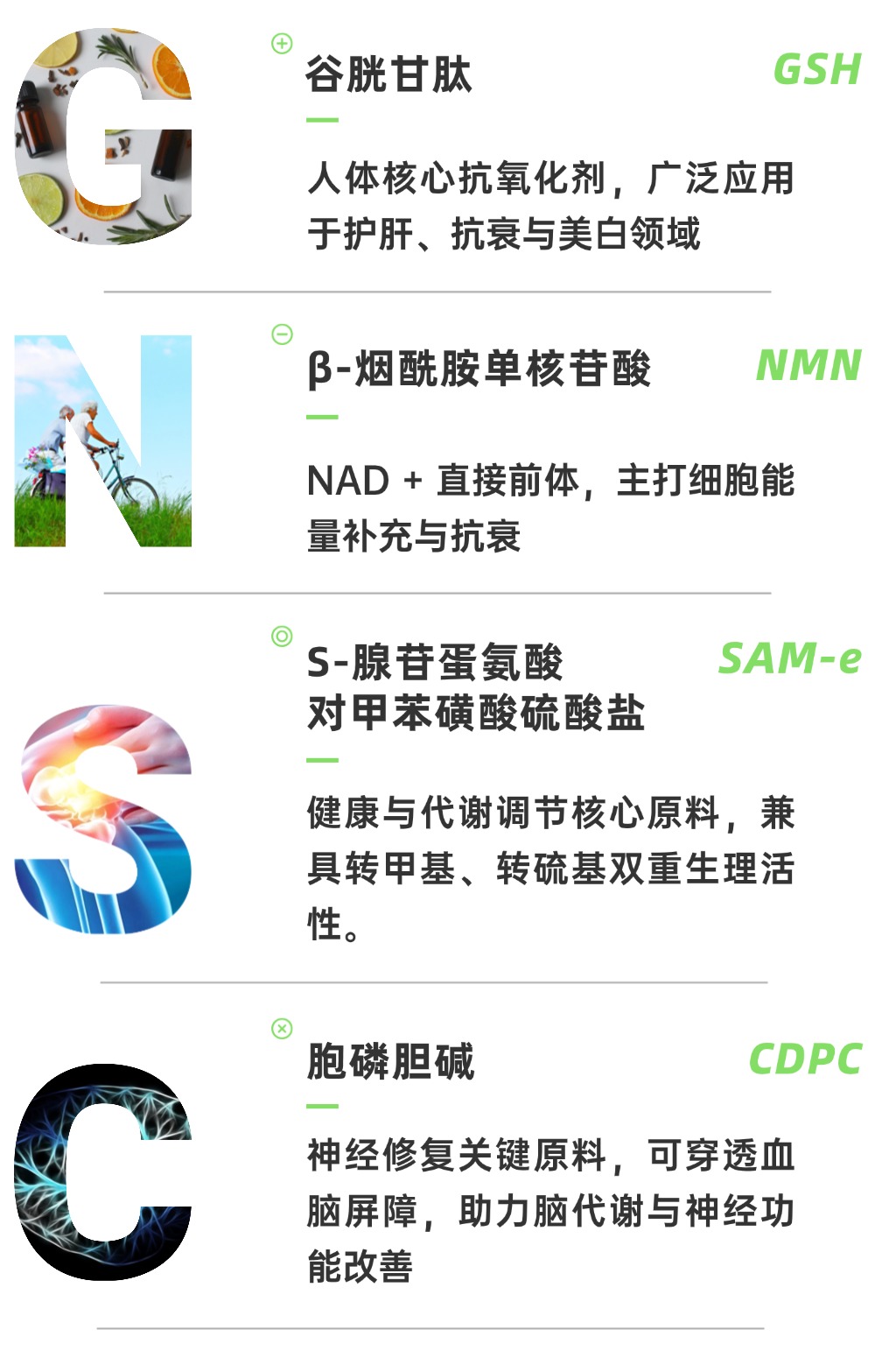 谷胱甘肽、NMN、胞磷膽堿、腺苷蛋氨酸四大明星原料 谷胱甘肽、NMN、胞磷膽堿、腺苷蛋氨酸四大明星原料