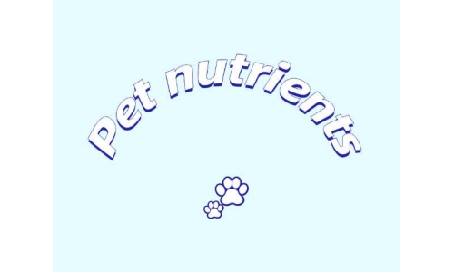 三種具有潛力的寵物營養(yǎng)素——PQQ、輔酶Q10以及S-腺苷甲硫氨酸