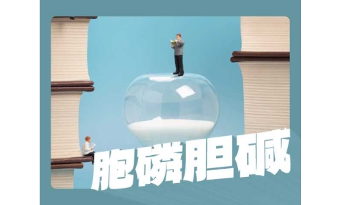 胞磷膽堿比膽堿更好嗎？