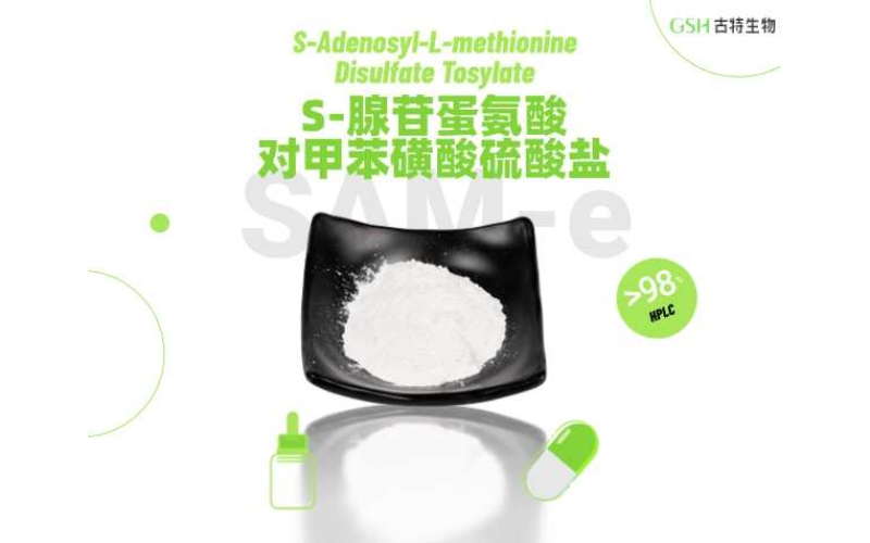 SAM-e 對肝臟有幫助嗎？